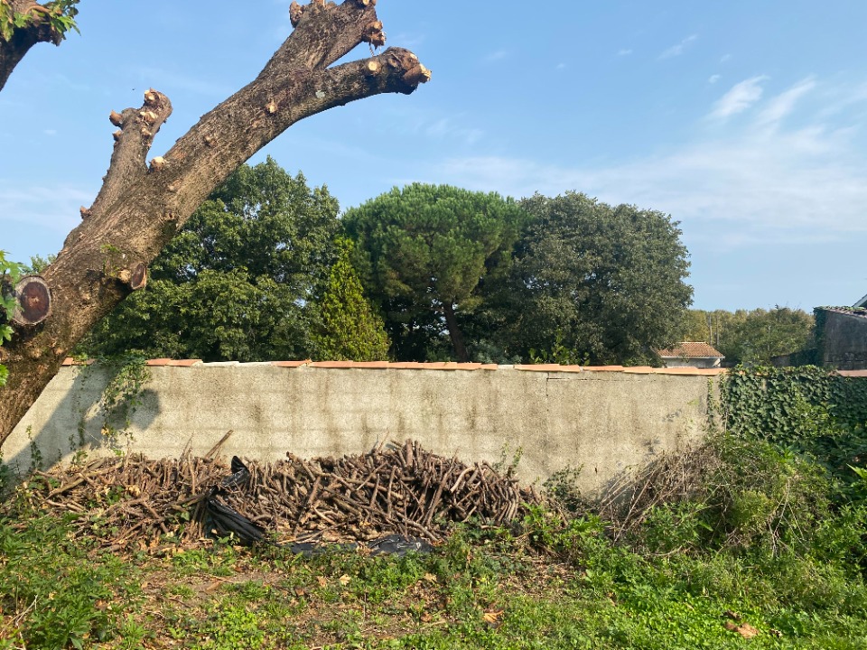 terrain de 530m2 en vente à Bègles