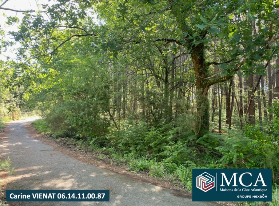 terrain en vente à Sanguinet (40460)