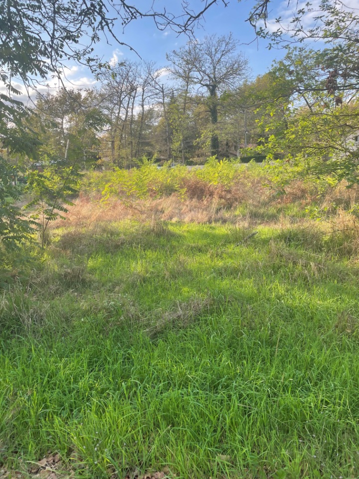 Parcelle de terrain à vendre viabilisé en vente à Castelnau-de-Médoc