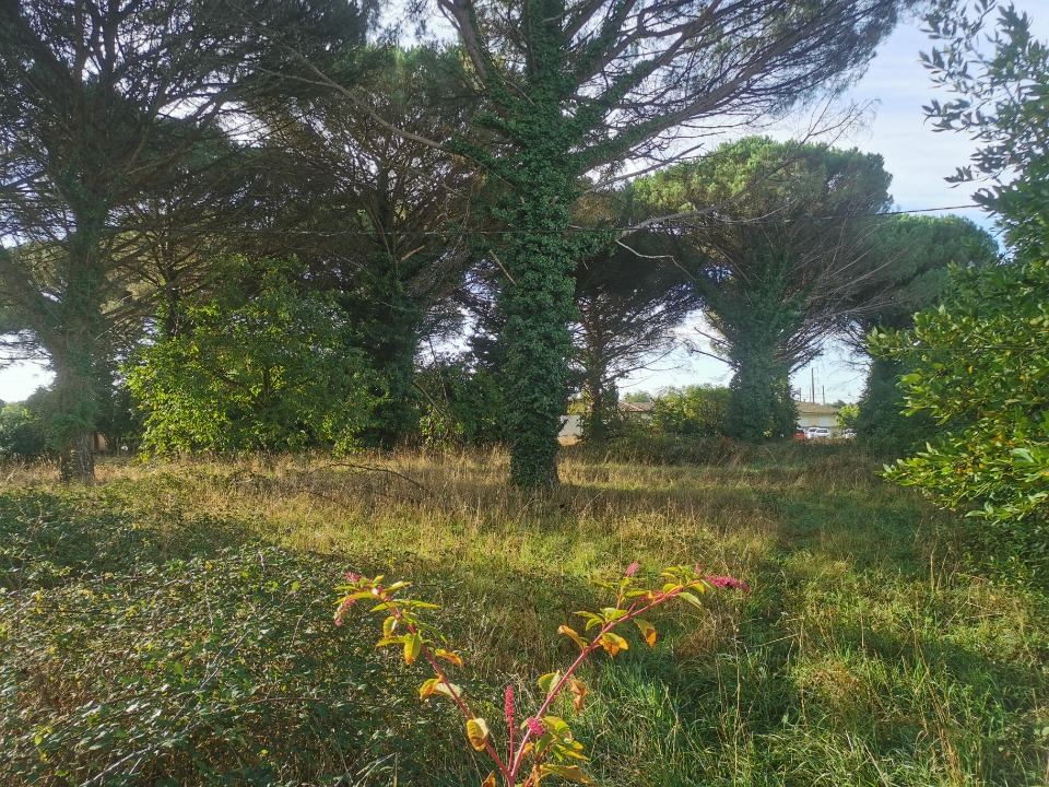 Offre de terrain à batir à Langon (33210)