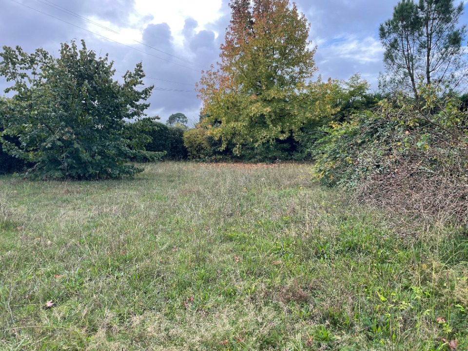 terrain constructible disponible à Léognan