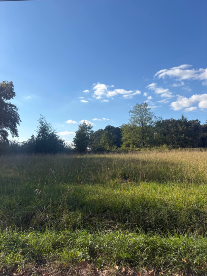 Très beau terrain à vendre de 1200m2 à Lugon-et-l'Île-du-Carnay