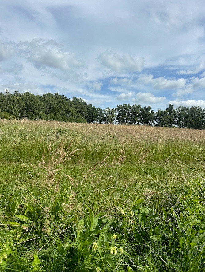 terrain à batir viabilisé de 600m2 à Arveyres (33500)