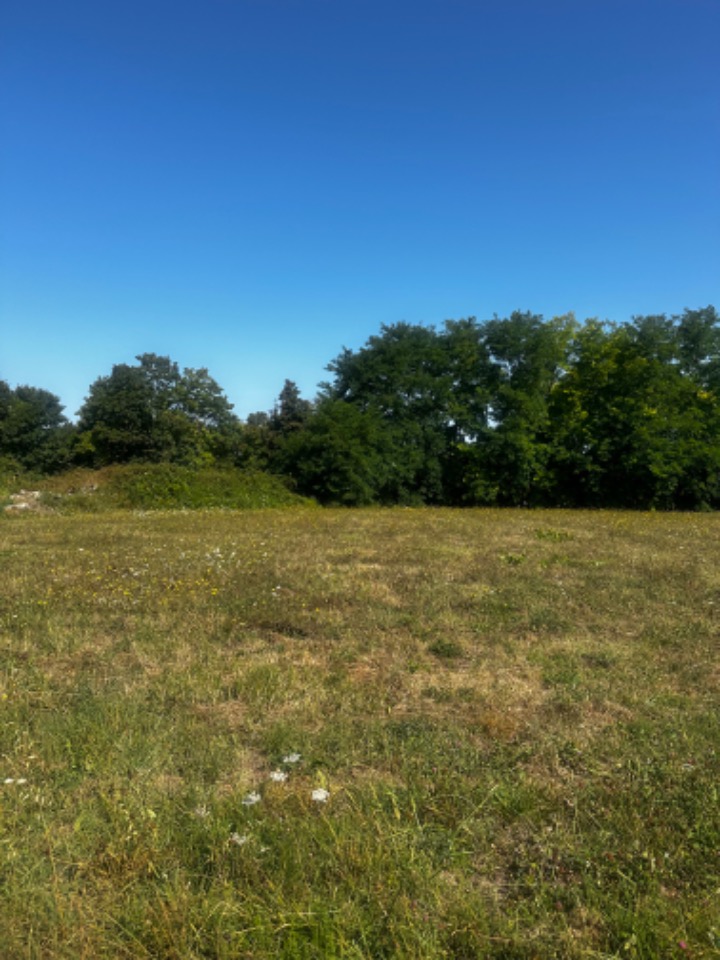 terrain constructible viabilisé de 800m2 en vente à Lapouyade (33620)