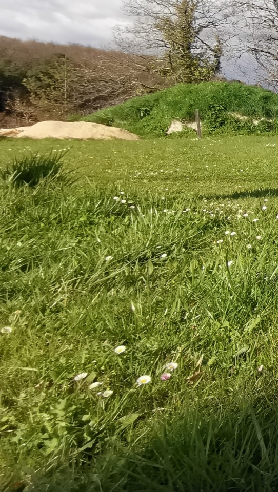 Joli terrain à vendre de 616m2 à Périgueux (24000)