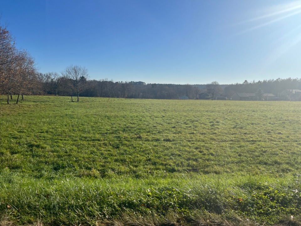 Superbe terrain à batir disponible à Casteljaloux (47700)