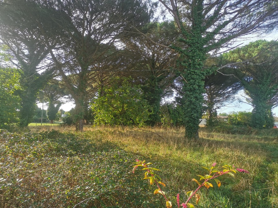 terrain à batir de 1009m2 disponible à Langon (33210)