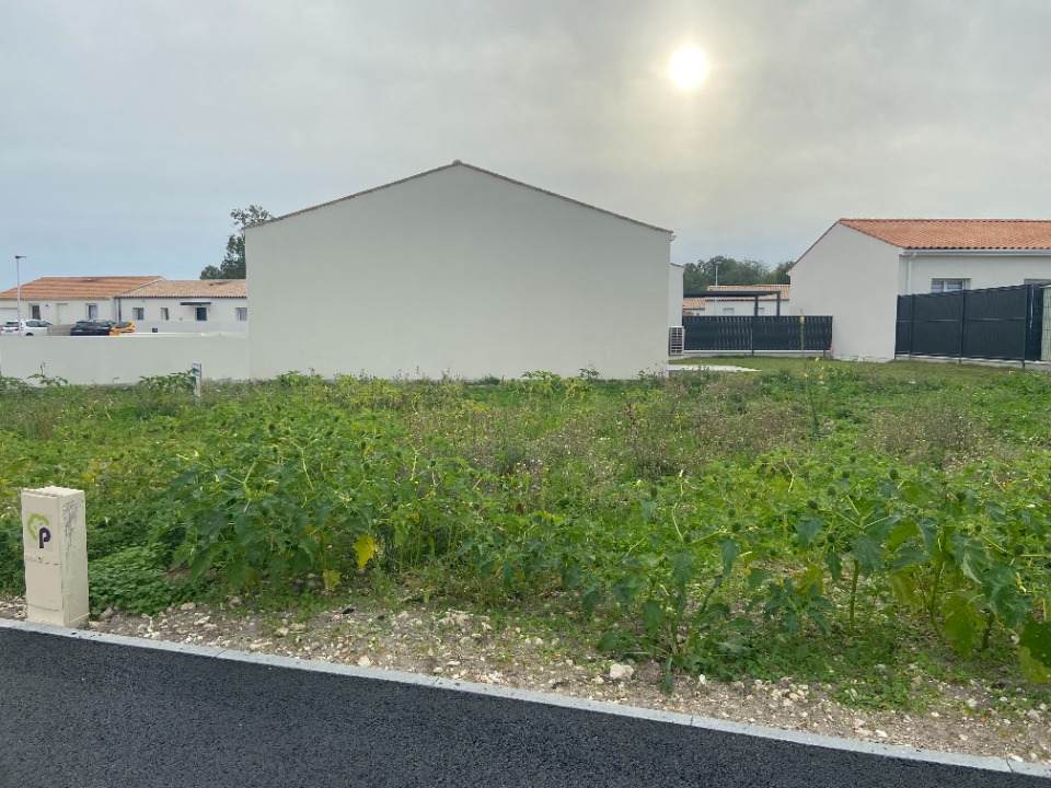 terrain constructible viabilisé à Semussac (17120)