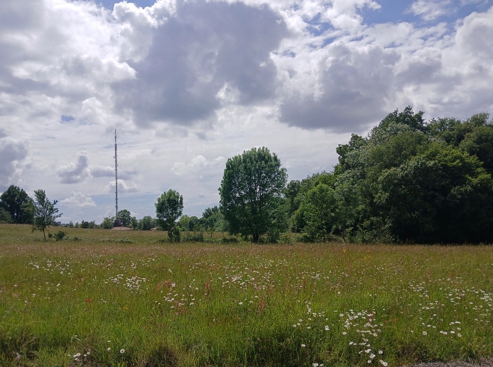 terrain de 950m2 en vente à Bouliac