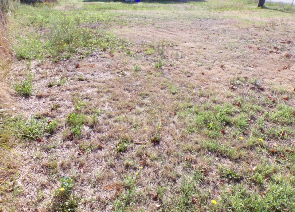 Très beau terrain en vente à Le Teich