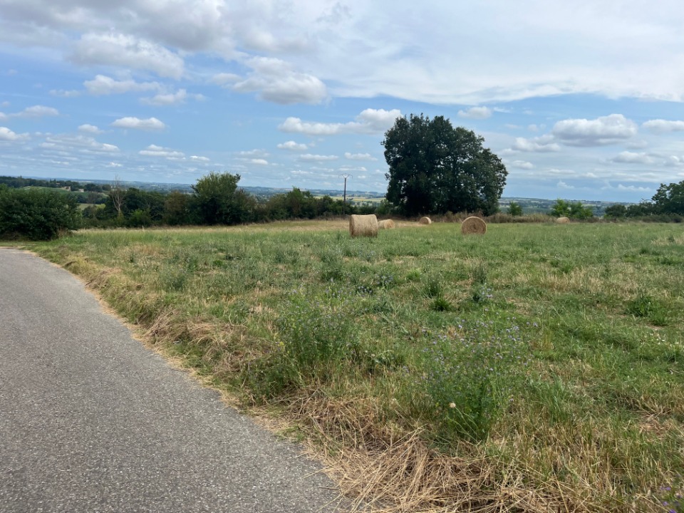 Magnifique terrain constructible en vente à Duras