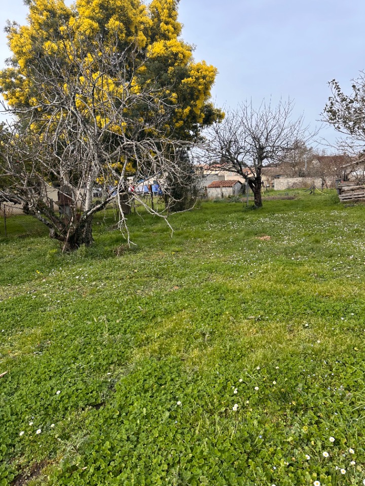 Beau terrain à batir viabilisé à Génissac