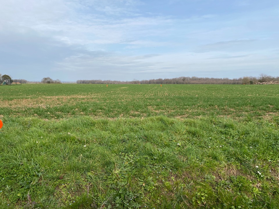 terrain à vendre viabilisé en vente à Plassay