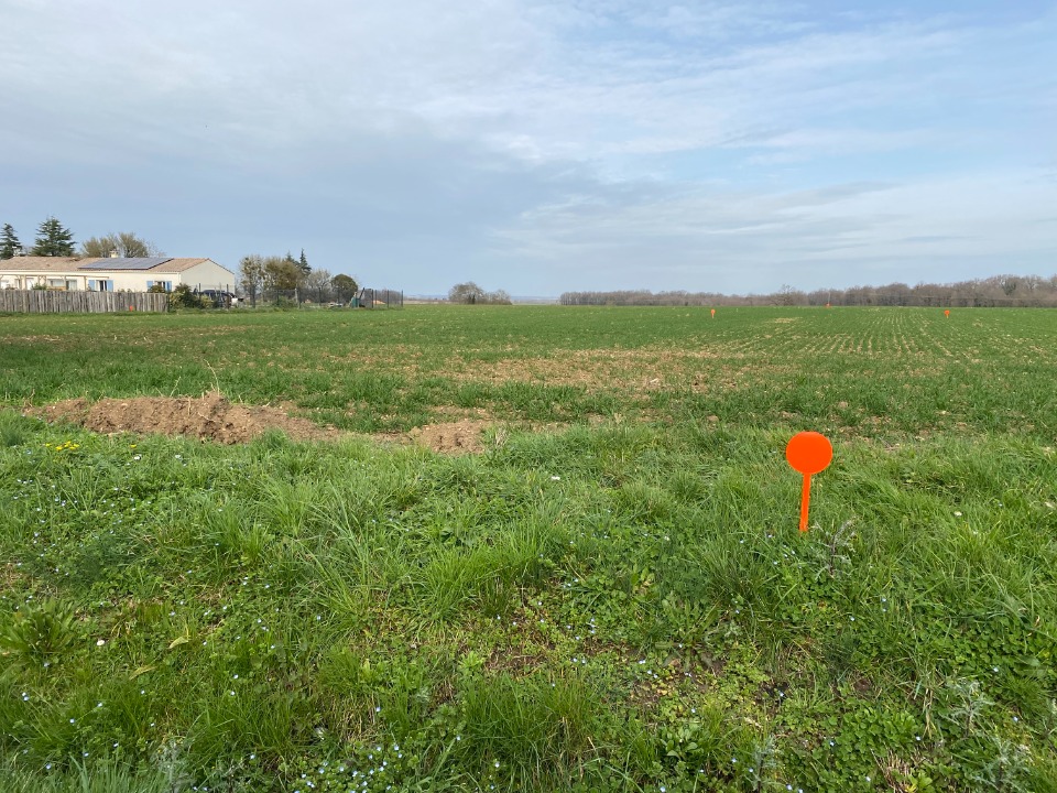 terrain de 543m2 à Archingeay