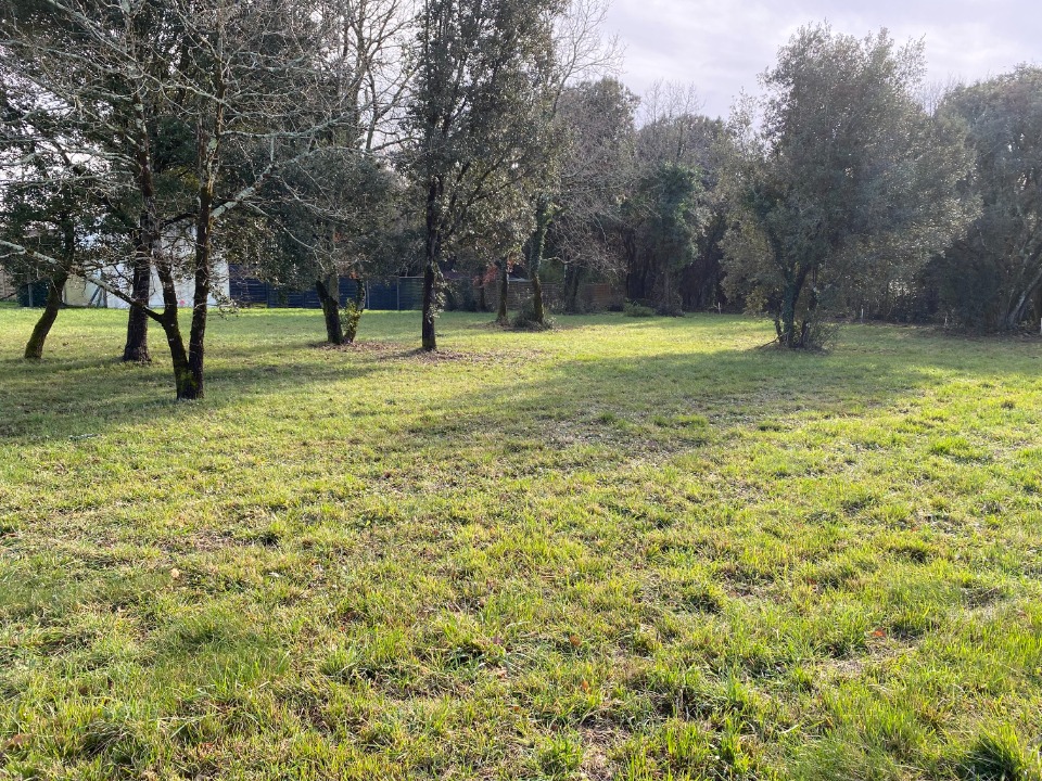 terrain constructible viabilisé de 320m2 en vente à Saint-Just-Luzac