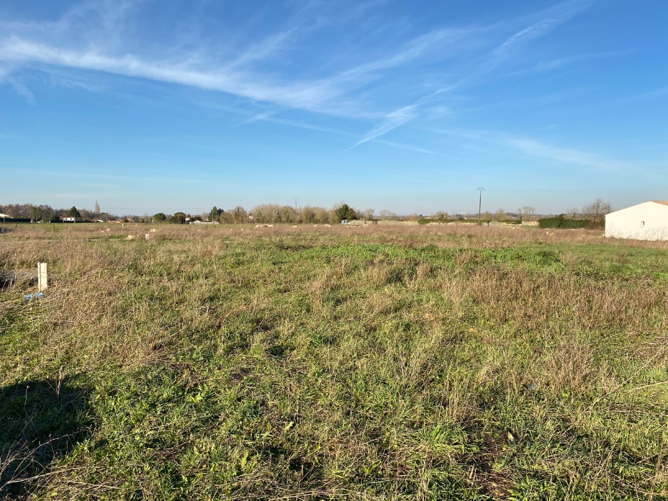 Joli terrain à batir viabilisé en vente à Port-d'Envaux (17350)