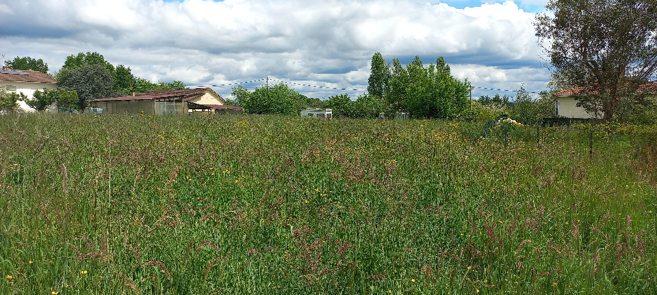terrain à batir viabilisé en vente à Montpon-Ménestérol