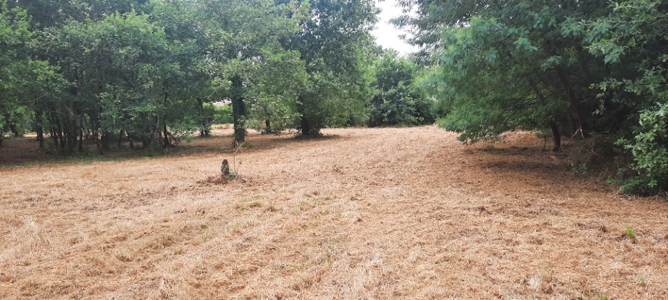 Parcelle de terrain viabilisé de 380m2 disponible à Salles (33770)