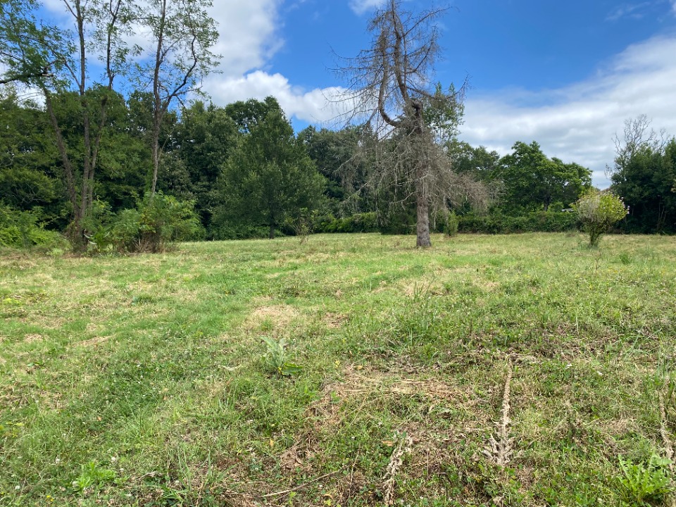 Très beau terrain constructible de 450m2 disponible à Artigues-près-Bordeaux (33370)