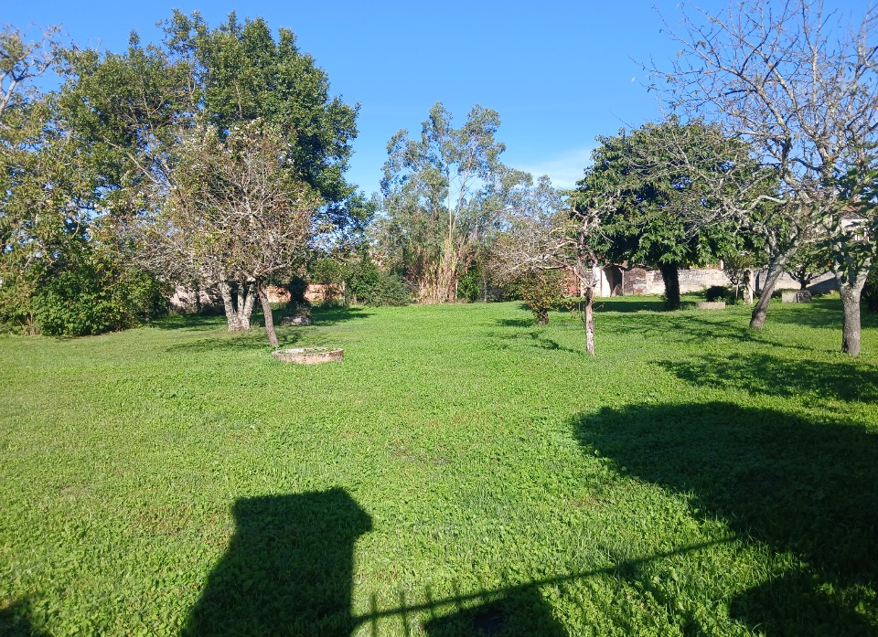 Beau terrain constructible viabilisé en vente à Margaux (33460)