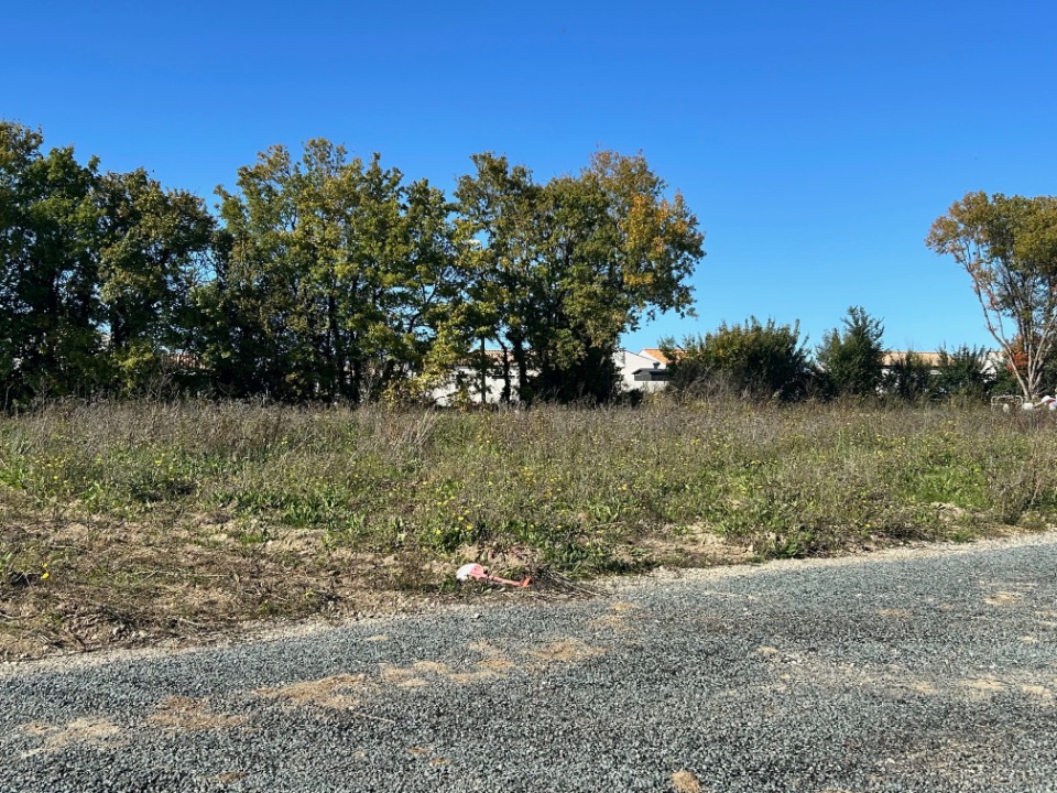 Beau terrain de 502m2 disponible à Ardillières