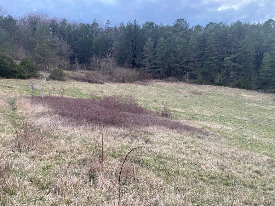 terrain à vendre viabilisé de 1529m2 disponible à Fossemagne (24210)