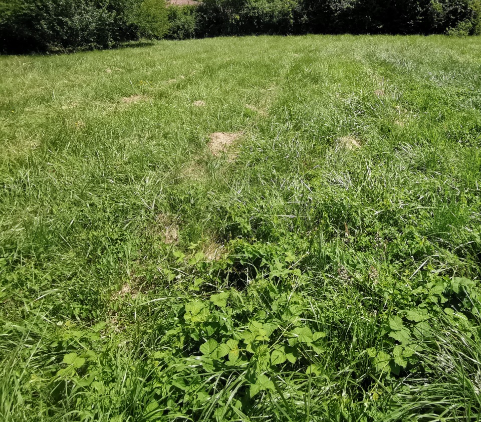 terrain à batir de 2769m2 à Atur (24750)