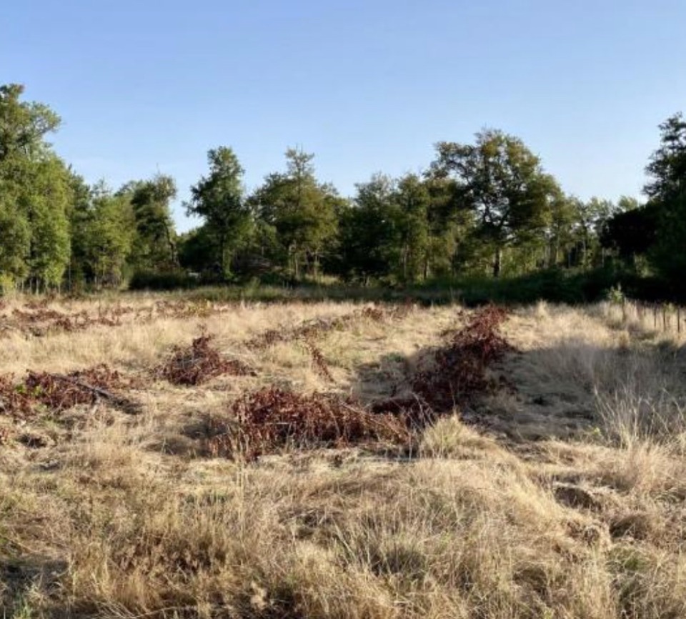 Agréable terrain viabilisé disponible à Artigues-près-Bordeaux