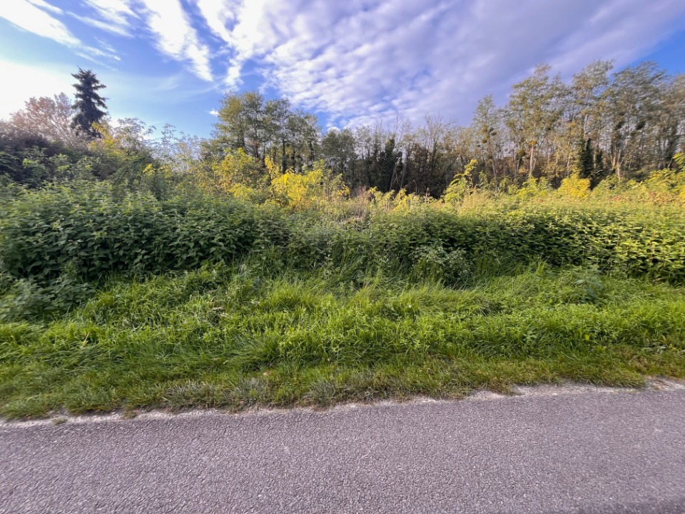 terrain à vendre viabilisé de 1000m2 à Cabanac-et-Villagrains (33650)