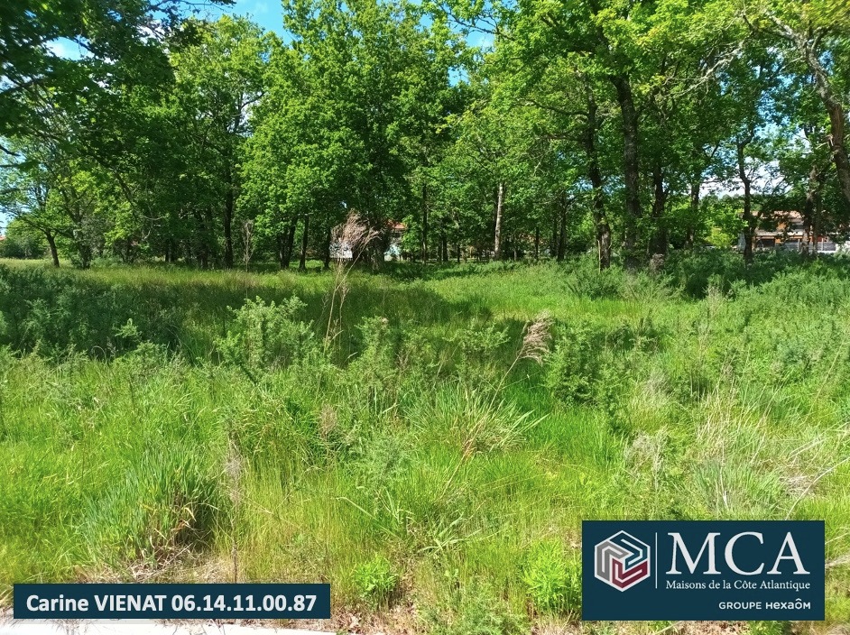 Charmant terrain constructible viabilisé à Pissos