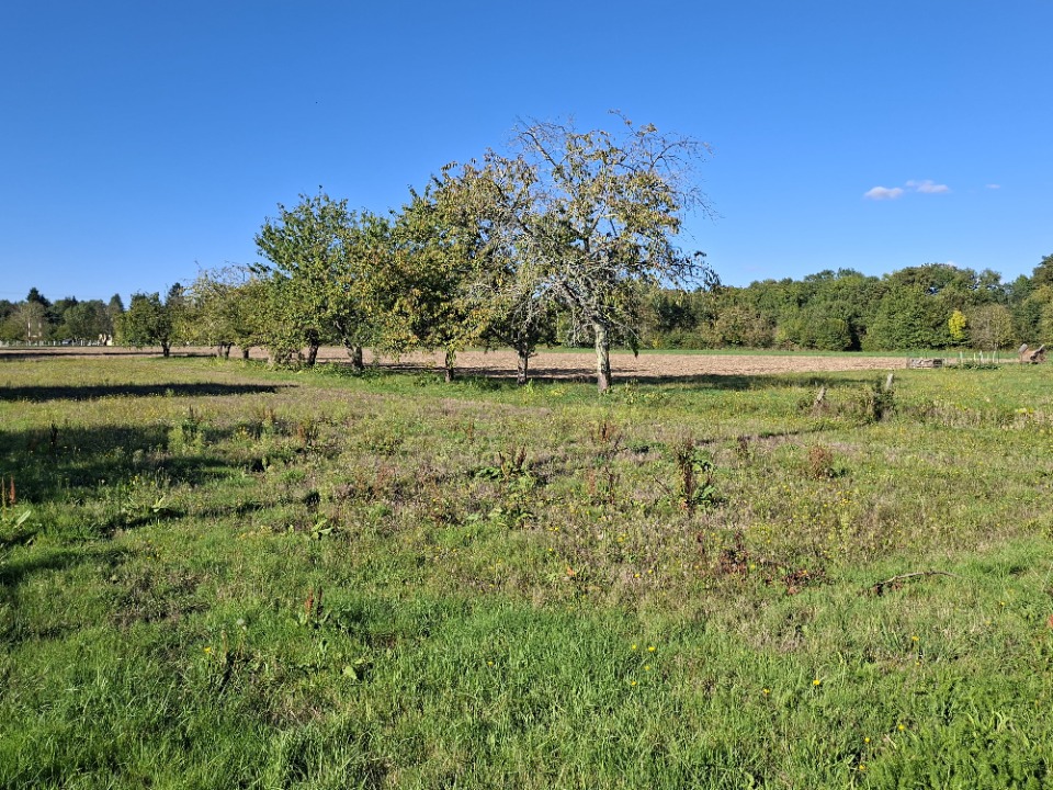Agréable terrain disponible à Bergerac