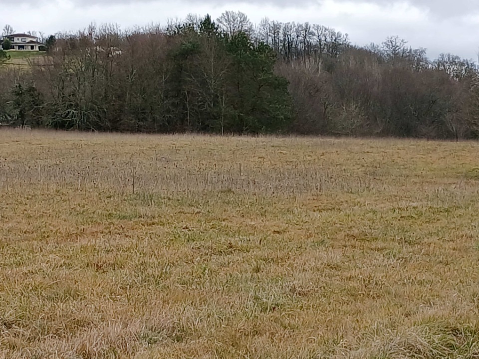 terrain à construire viabilisé disponible à Verteillac