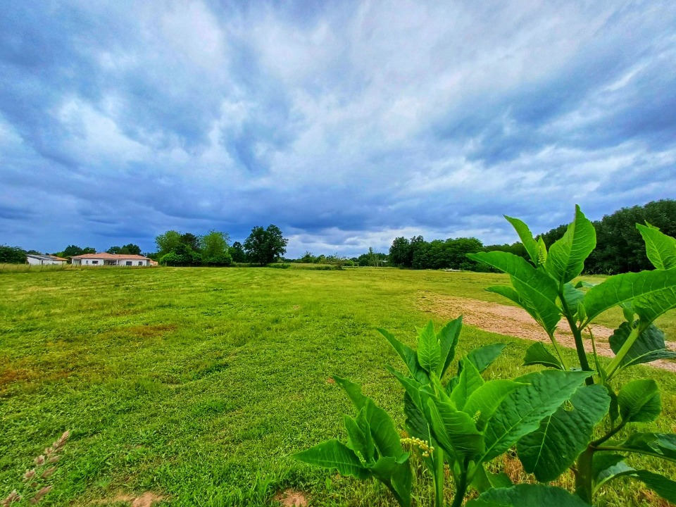 terrain à batir de 1800m2 disponible à Villenave-d'Ornon