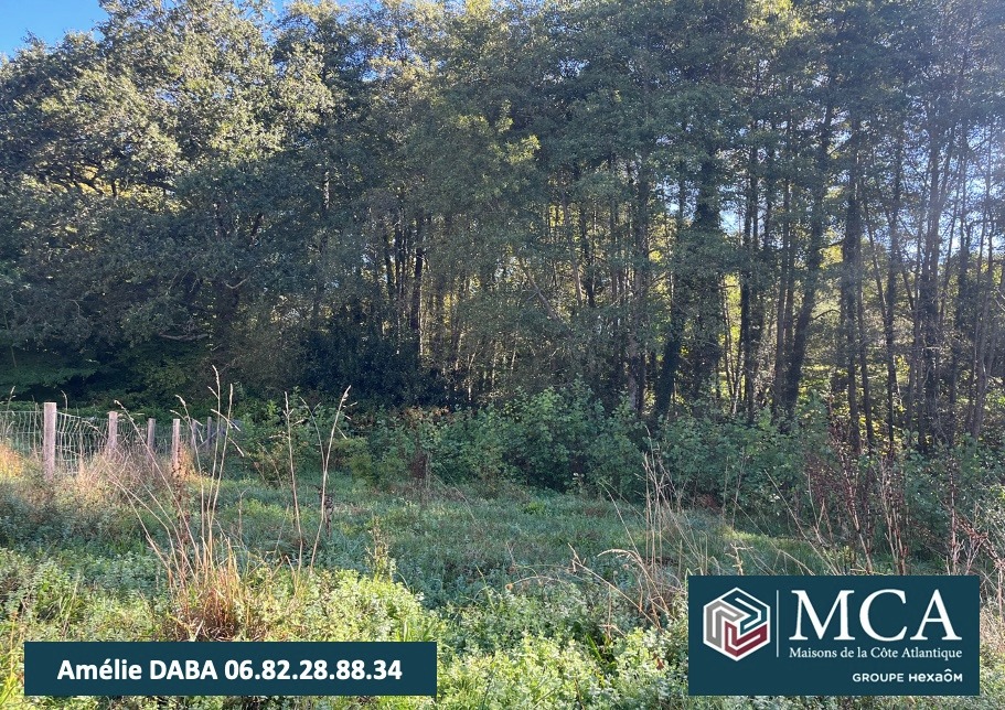 Magnifique terrain à vendre viabilisé en vente à Saint-Martin-de-Seignanx