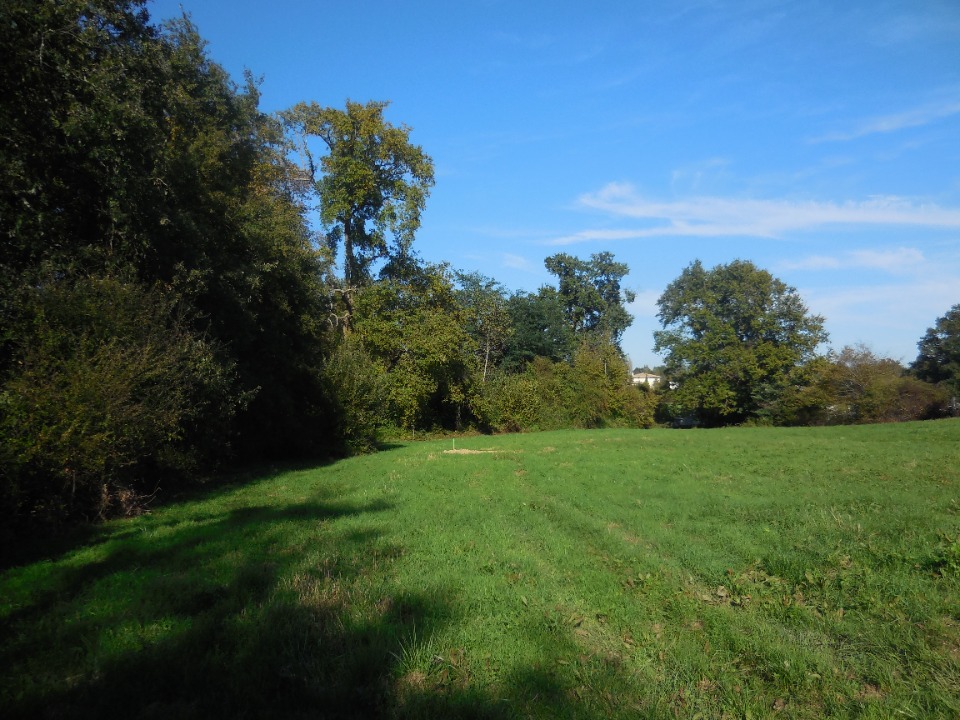 terrain à vendre de 1600m2 en vente à Faleyras