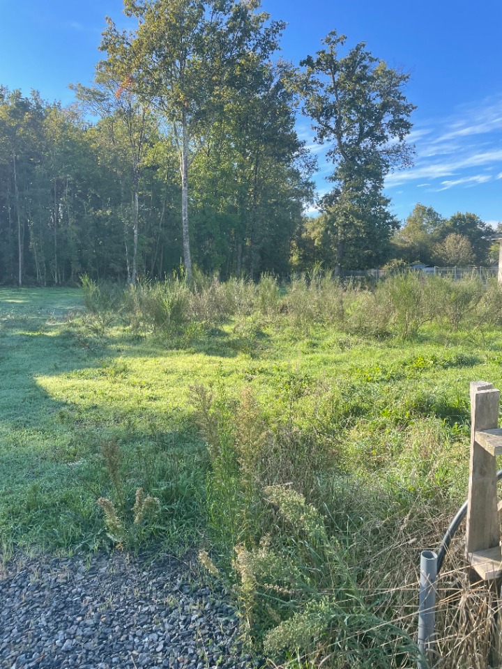 Beau terrain constructible viabilisé de 400m2 à Le Pian-Médoc
