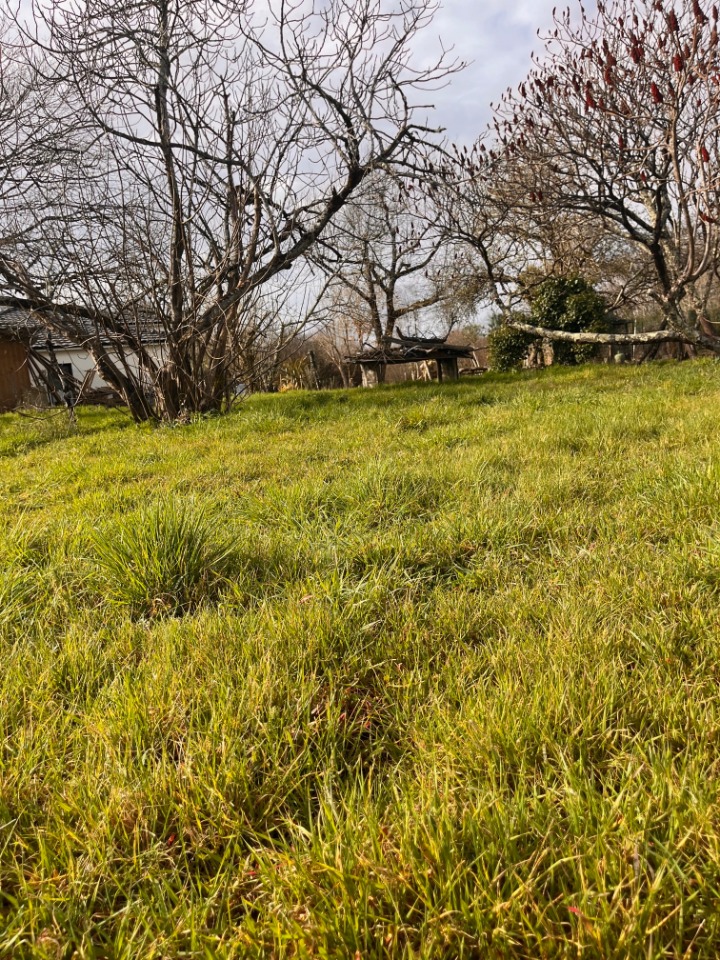 Très beau terrain à construire à Saint-Caprais-de-Bordeaux (33880)