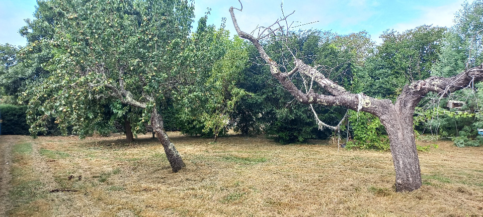 terrain constructible viabilisé de 830m2 disponible à Montpon-Ménestérol (24700)