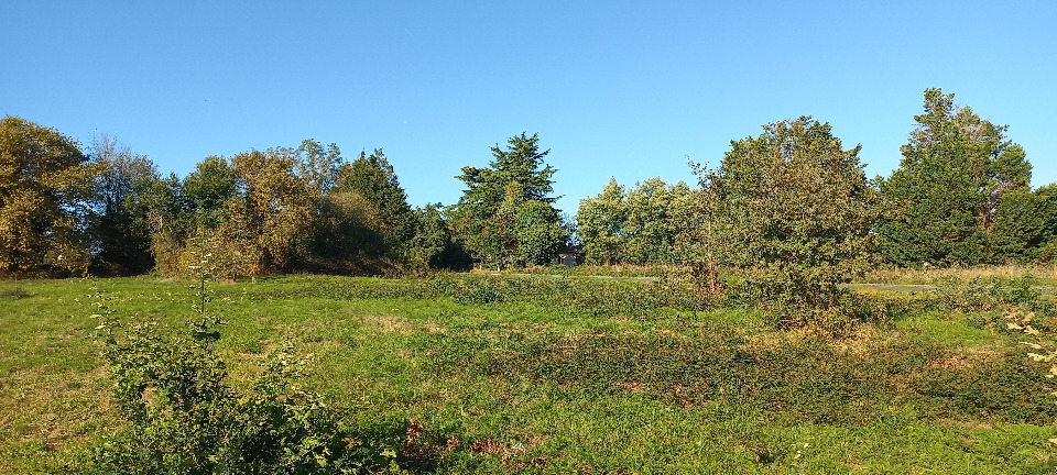 Beau terrain à construire de 1300m2 disponible à Saint-Rémy