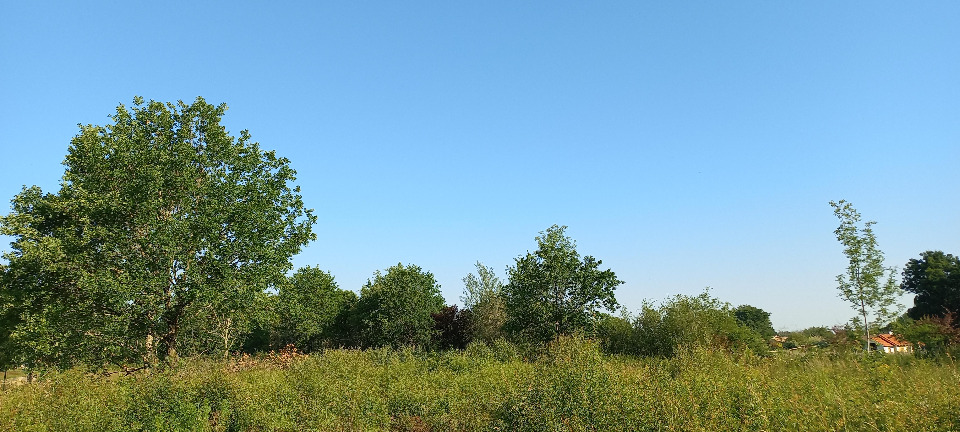 Ravissant terrain à batir viabilisé en vente à Ménesplet (24700)