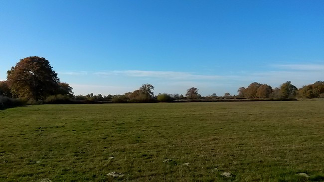 terrain à vendre de 624m2 disponible à Sanguinet (40460)