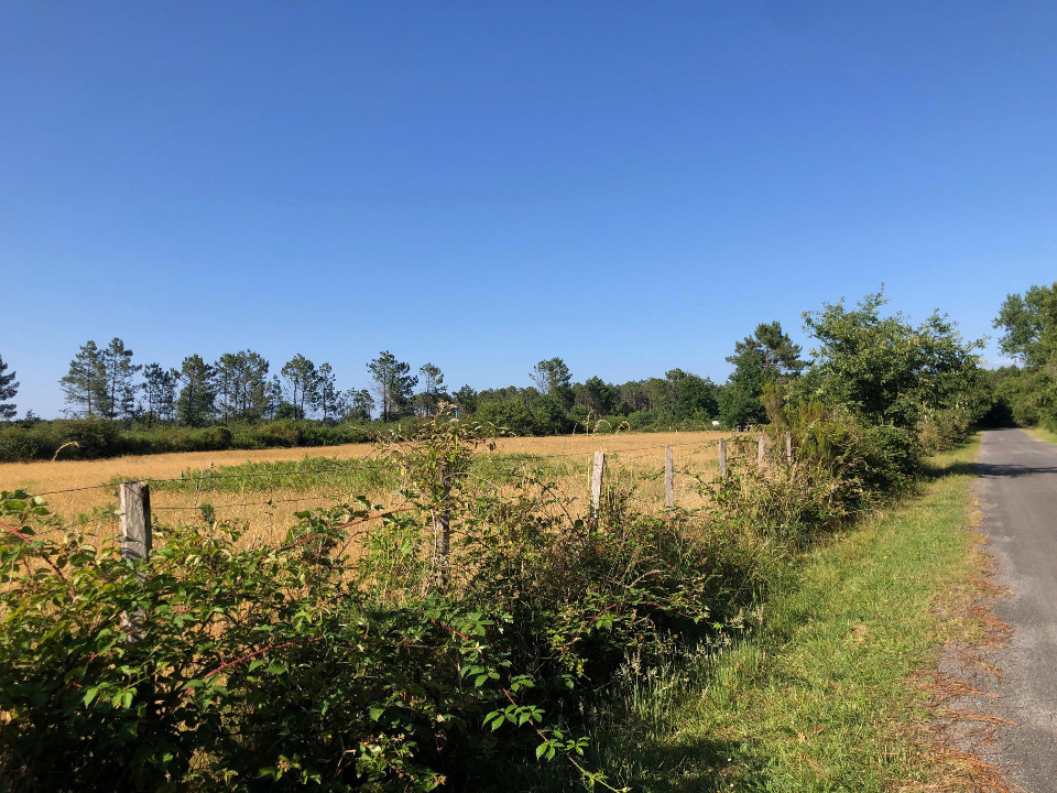 terrain à batir viabilisé de 767m2 en vente à Lanton (33138)