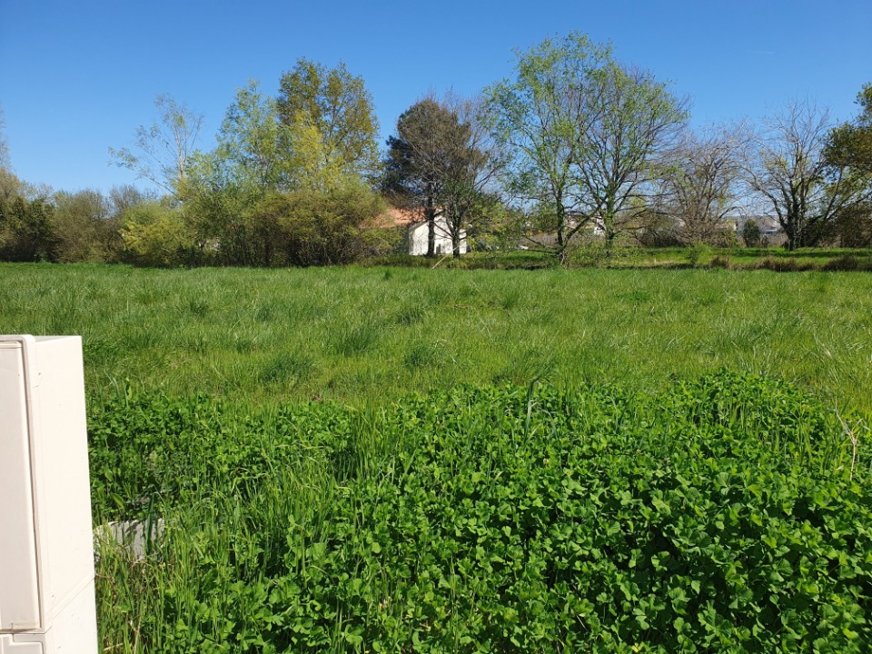 Joli terrain à batir viabilisé de 370m2 à Saint-André-de-Cubzac (33240)