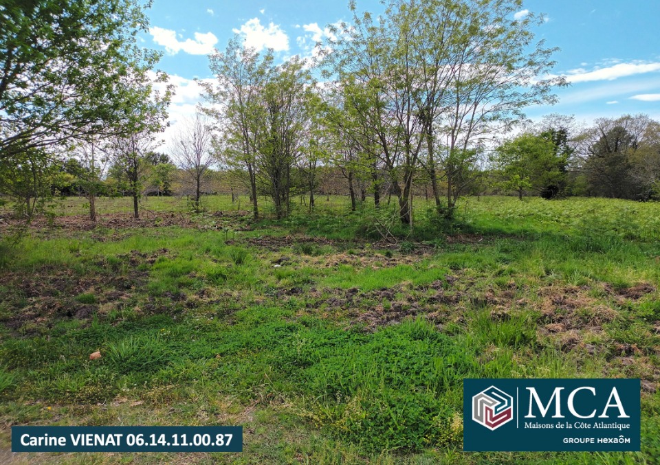 terrain constructible viabilisé de 300m2 en vente à Gastes (40160)