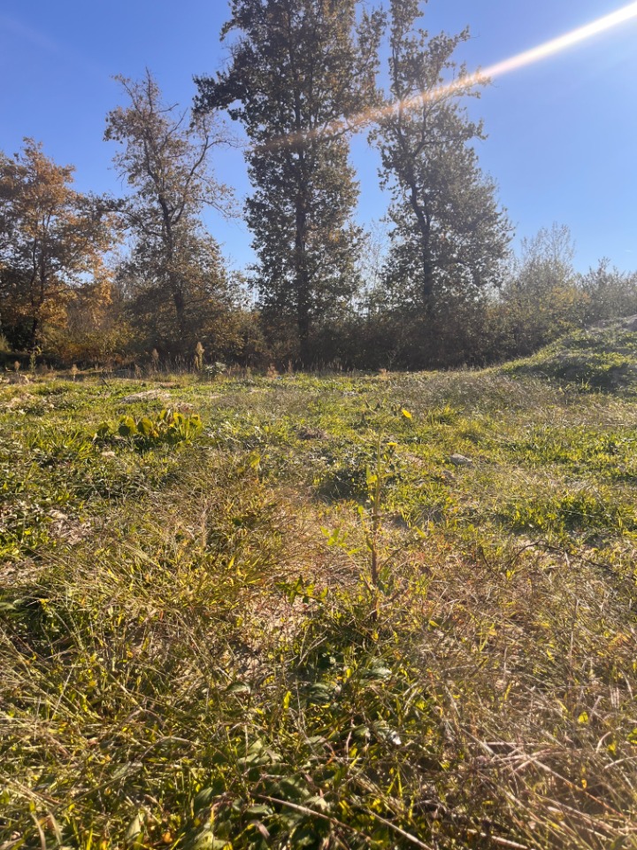 Sublime terrain à construire viabilisé en vente à Léogeats (33210)