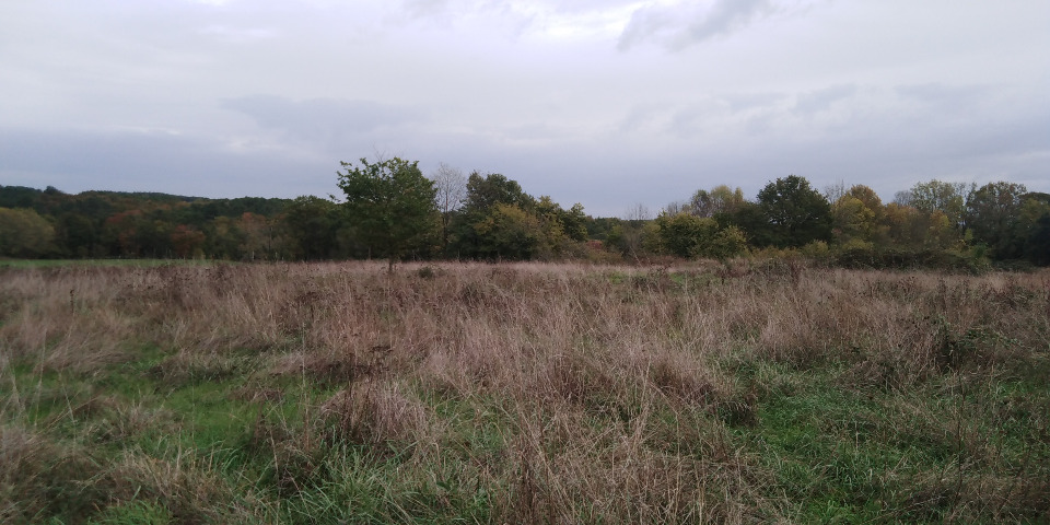 Parcelle de terrain viabilisé de 1800m2 à Saint-Rémy