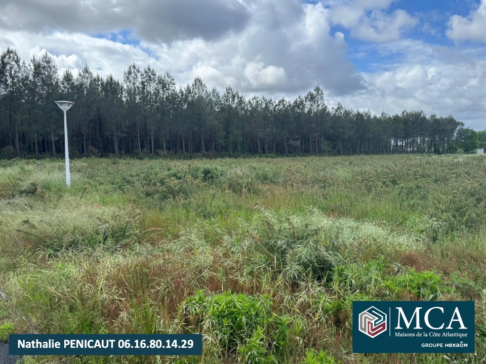 terrain à vendre à Azur