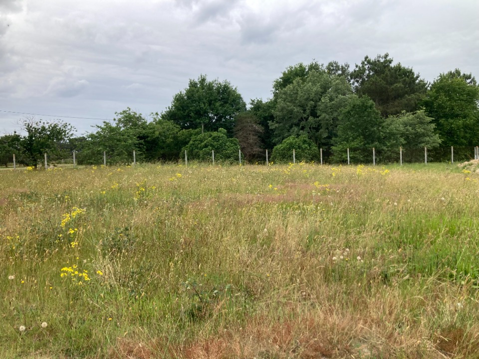 terrain à batir disponible à Les Peintures (33230)