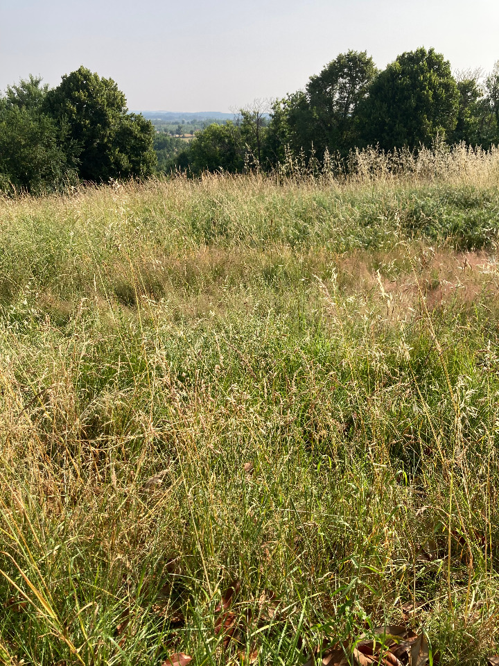 terrain viabilisé à La Roche-Chalais