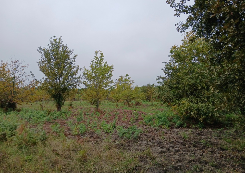 Offre de terrain à batir disponible à Gastes